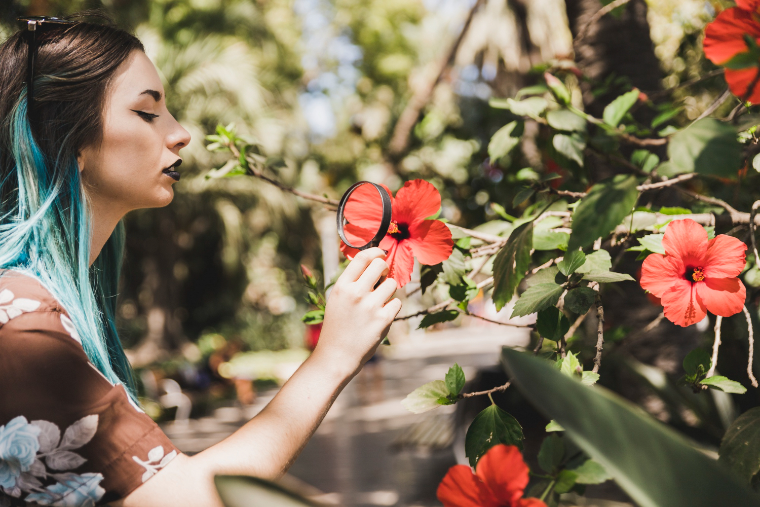 Healing in the Hawaiian Islands: Natural Wellness Practices You Must Try